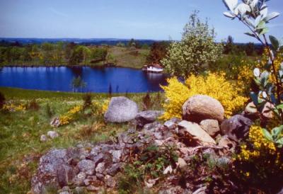 Etangs des Rivières Pourpres