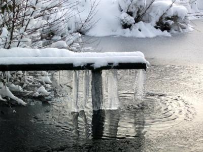 L'hiver aux Rouillons