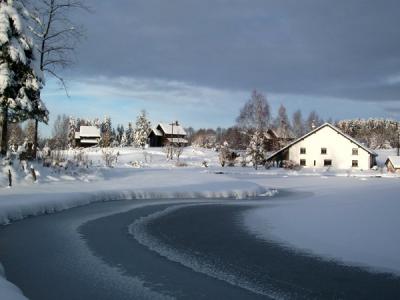 Sous la neige